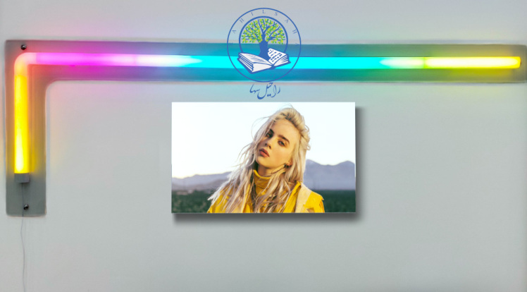 تابلو شاسی عکس بیلی آیلیش تابلو عکس بیلی آیلیش پوستر بیلی آیلیش عکس billie eilish خرید تابلو بیلی آیلیش خرید تابلو سلب