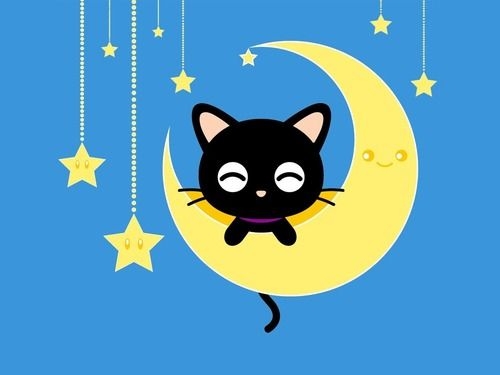 بیوگرافی چاکو کت | Chococat | گربه مشکی باهوش و فانتزی سانریو